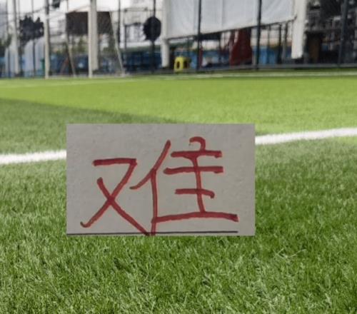 查理,萨维奇英甲,再展雄风,世界杯买球,2026世界杯,投注技巧,体育博彩,买球平台